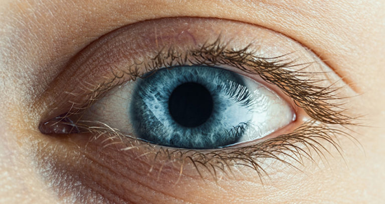 Female Blue Eye With Long Lashes Close Up. Human Eye Macro Detail.