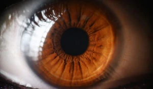 An extreme close-up image of a brown eye