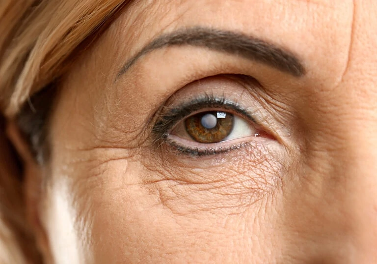 close up senior woman brown eye